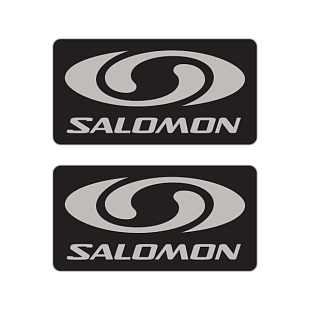 Стикер Salomon Sticker Pilot Lever
