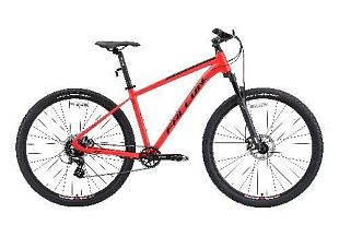 Велосипед Falcon Bike 29" FIRST 2.0 PS