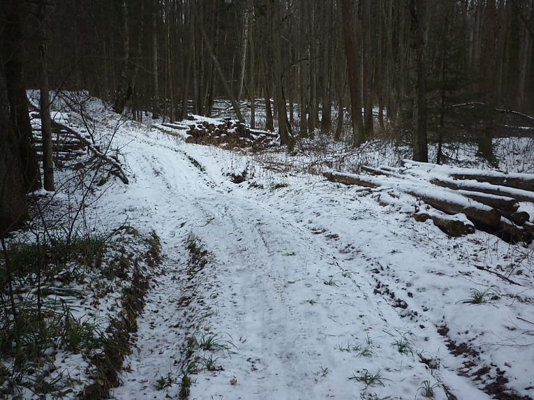 По зимним дорогам - Веломан По зимним дорогам - Веломан