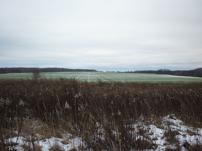 Теплая зима - Веломан Теплая зима - Веломан