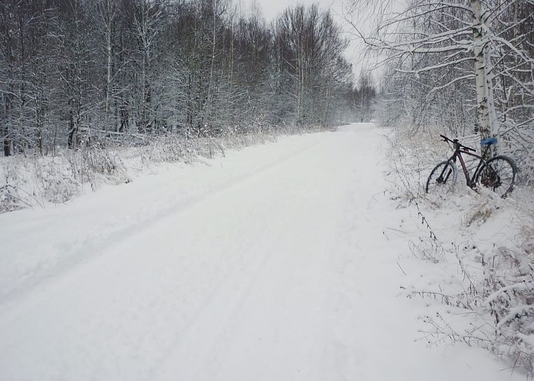 В зимнем лесу - Veloman В зимнем лесу -veloman.jpg